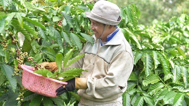 Ông Hà Văn Thắng – Chủ tịch Hội đồng Doanh nghiệp nông nghiệp Việt Nam: “Năm 2024 là cơ hội cho phát triển nông nghiệp công nghệ cao!”